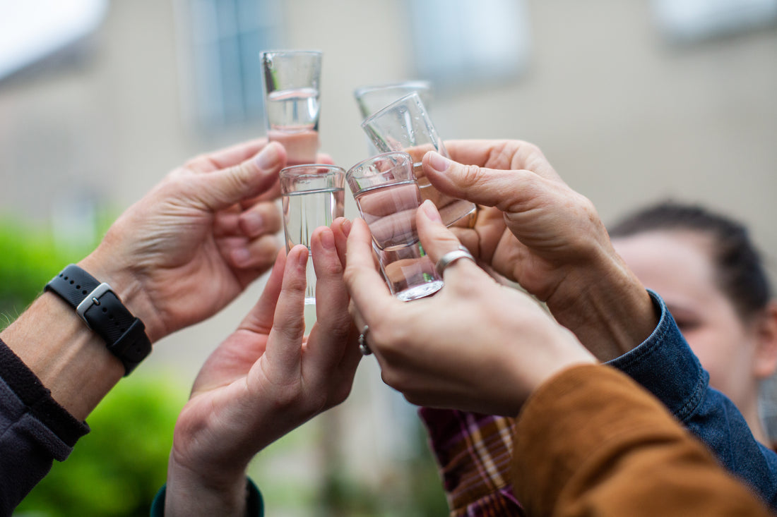 What is a Swedish Midsommar Party?
