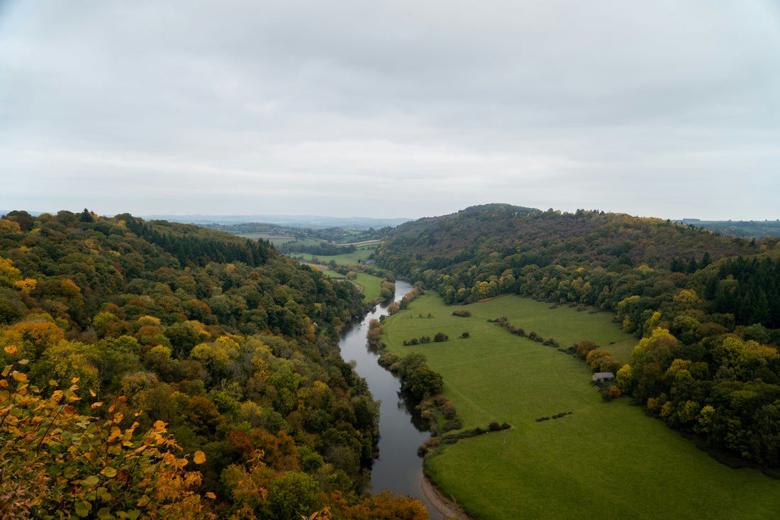 The River Wye winding through autumn woods, seen from Symonds Yat Rock