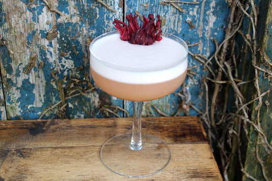How to make a Vegan Gin Sour